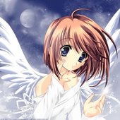 angel wings