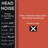 I Was A Teenage Video Nasty
