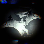 Entre las Sombras