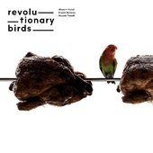 Revolutionary Birds
