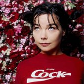 Avatar de Björk