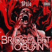 Vile - Single