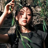 billboard Korea