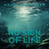 No Sign of Life