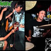 Rottingrex