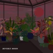 Beverly Moon