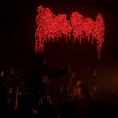 IMG_4194.gif
