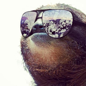 Avatar för Slothythesloth