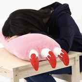 hibiscos 的头像