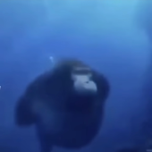 WLRD2355 的头像