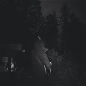 Forest.jpg