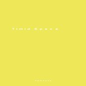 Timid Space