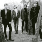 THE NUTHINS