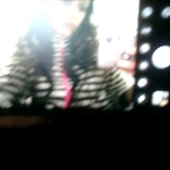 IMG_3536.jpeg