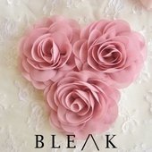Roses Cover 2