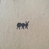 The Ants Create Meaning