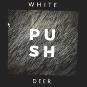 White Deer Push.jpg