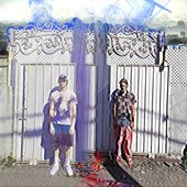IMG_5517.jpeg