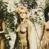 slits.jpg