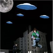 fly