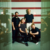 Foals