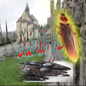 Avatar for Majiseverywhere