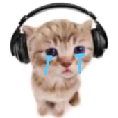 AnaCat01 的头像
