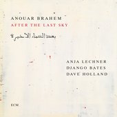 After the Last Sky