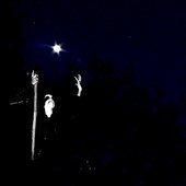 Nuit en édifice