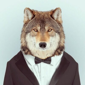 LoneWolf_xz 的头像