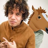PONY X