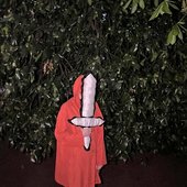 Cloak of Kings.jpg