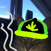 Avatar for roeihei1
