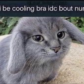 ibecoolin.jpg