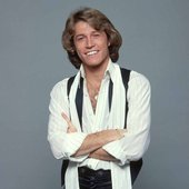  Andy Gibb