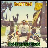 NoddY RioT - booklet NWF