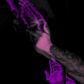 Avatar for Zenchiii