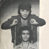 ledeb.png