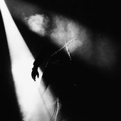 IMG_4230.jpeg