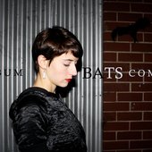 Bats