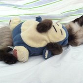 dee0b4e0763f4f3e3df39fa3584a674f.jpg