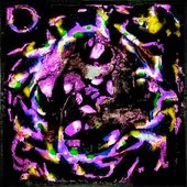 15 - Single