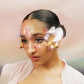 where the butterflies go in the rain