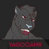 Y.jpg