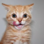 spoonism için avatar