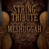 String Tribute to Meshuggah