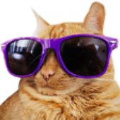 Avatar for saphirebg
