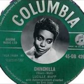 Chinchilla