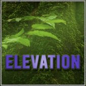Elevation - Single