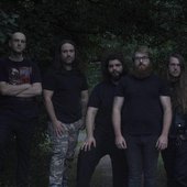 Harvested 2023 lineup